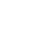 american-elec_wt