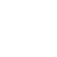 bes_wt