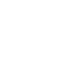 blackbox_wt