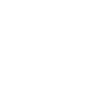 fluke_wt