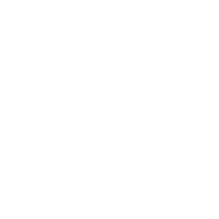 ideal_wt