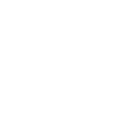 klein_wt