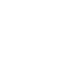 nte_wt