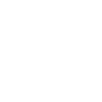 orion_wt